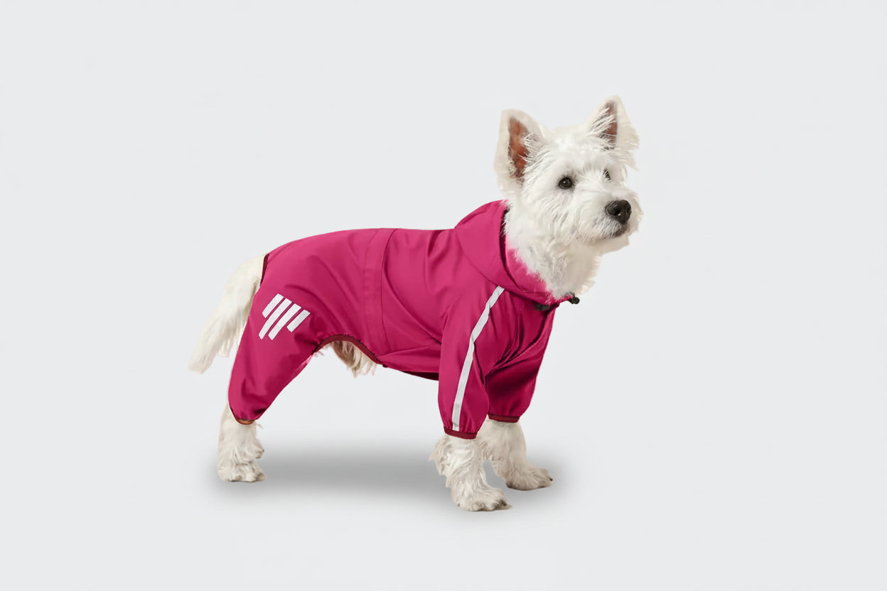ReflectX Winter Dog Jacket