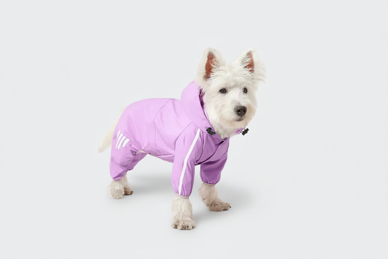 ReflectX Winter Dog Jacket