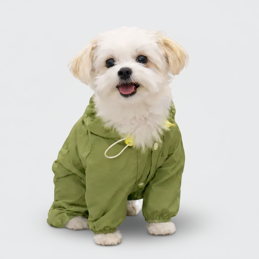 Lightweight Waterproof Dog Raincoat