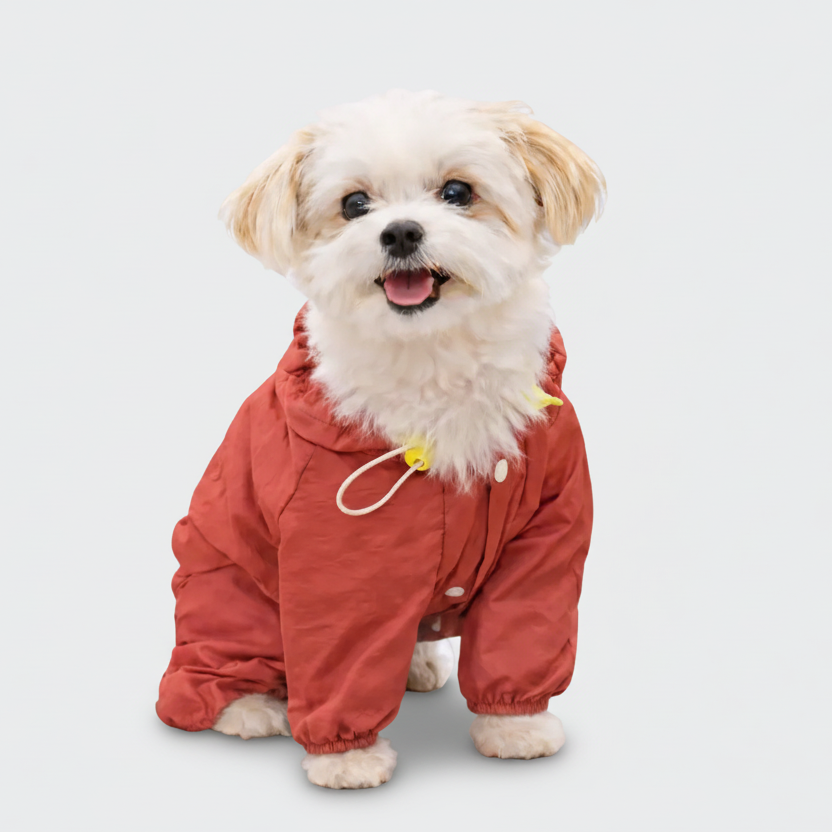 Lightweight Waterproof Dog Raincoat