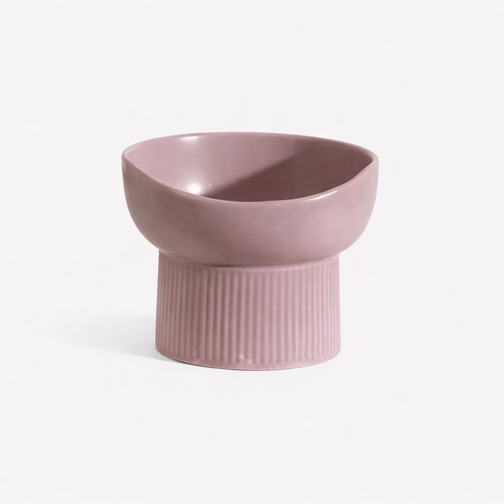 Nordic Ceramic Elevated Small Dog & Cat Bowl