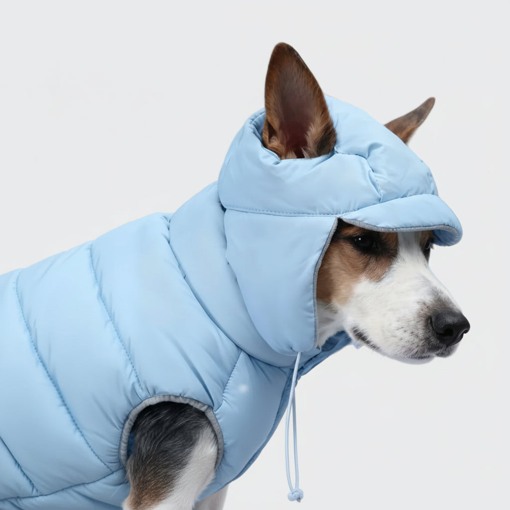 Arctic Quilted Down Dog Jacket