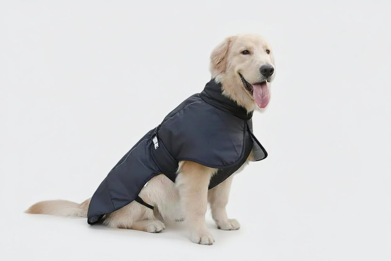 Windproof Reflective Dog Jacket