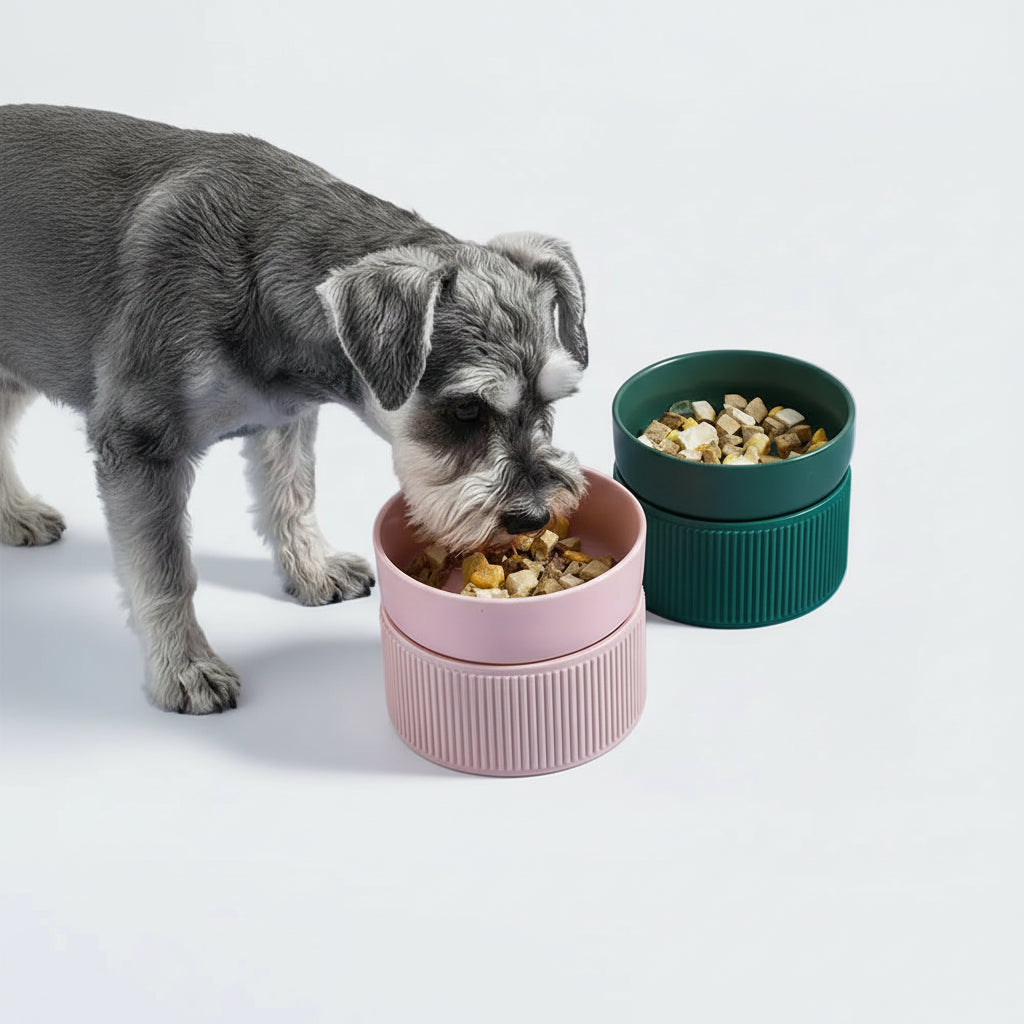 Elevé Double Ceramic Pet Bowl