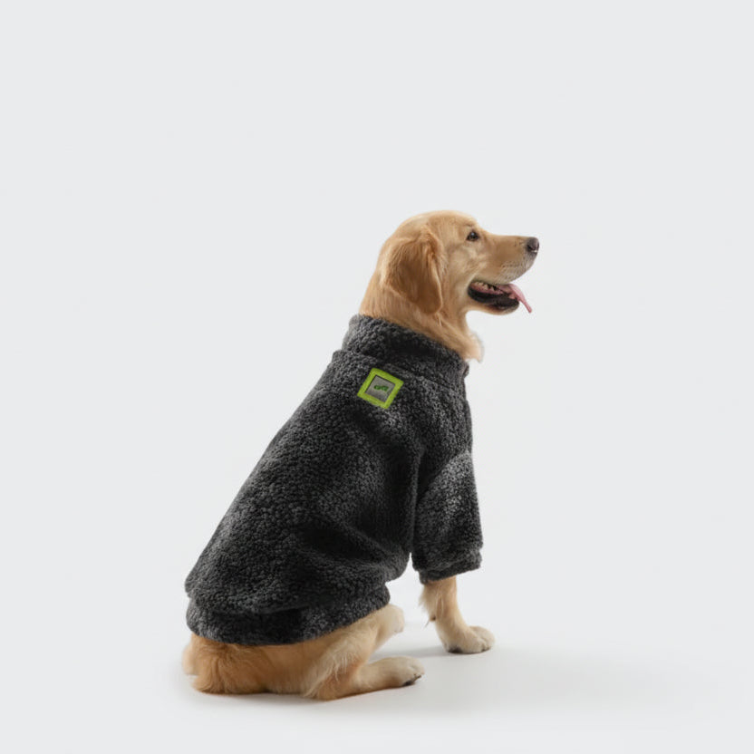 Fleece-Lined Winter Dog Sweatshirt